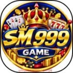 Sm999 Game login